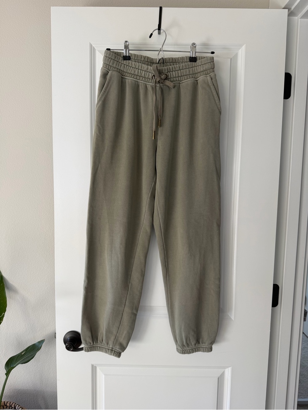 C&C California Haze Sunwashed Drawstring Joggers in Olive